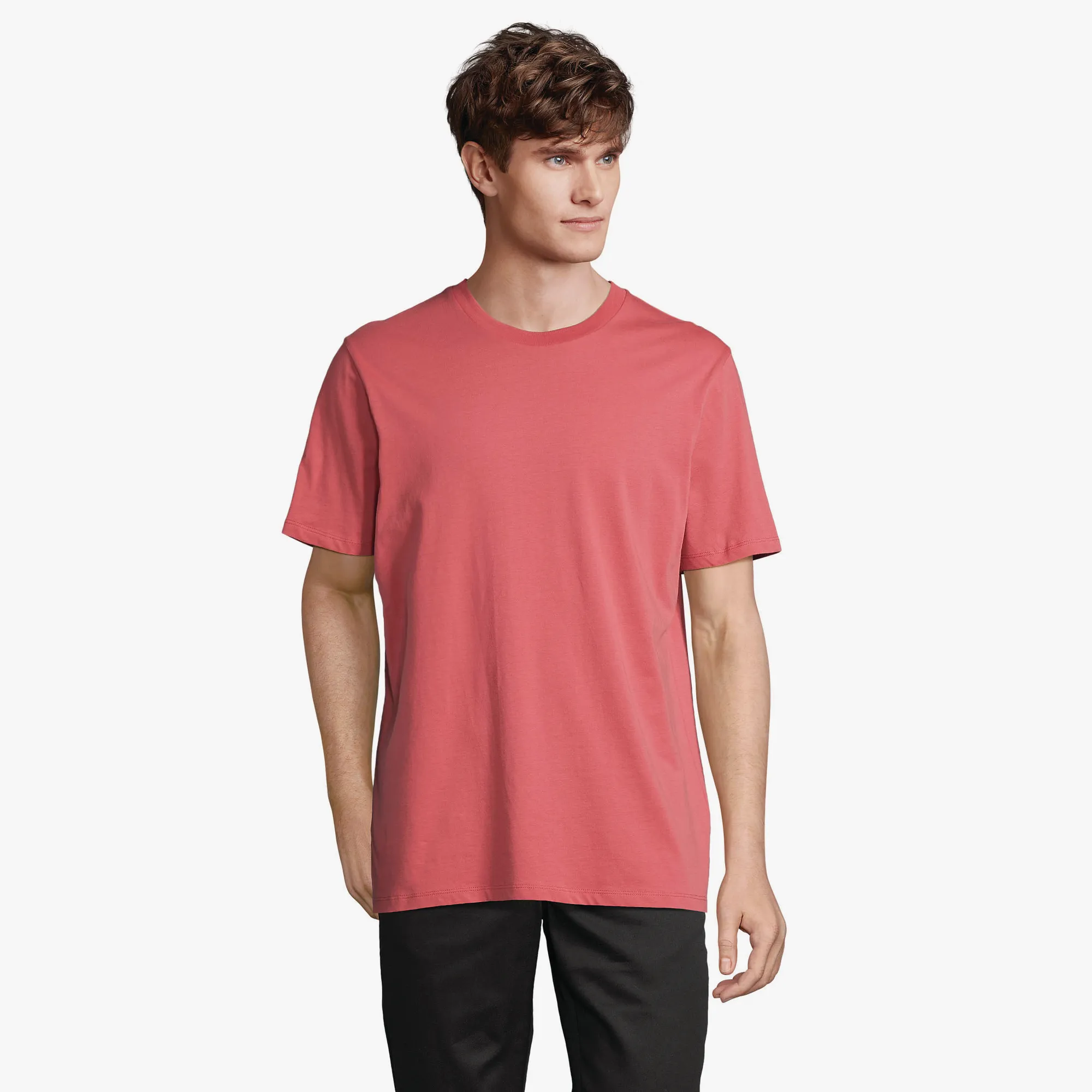 CMLmo_tshrts_S03981 - color FY